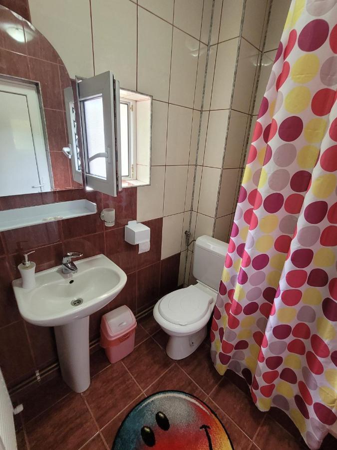 Vila Denisa Bran  Bagian luar foto